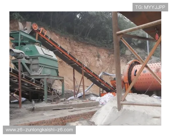 尊龙旧版app功能全面升级满足不同用户的多样化需求